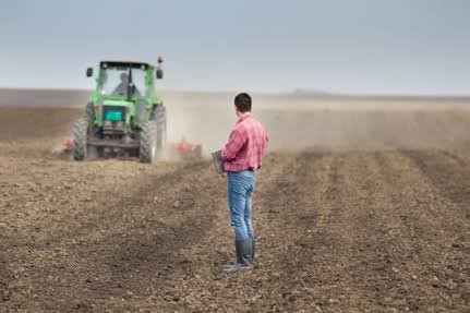 Assurance agricole au Maroc : comment couvrir son exploitation contre les aléas climatiques