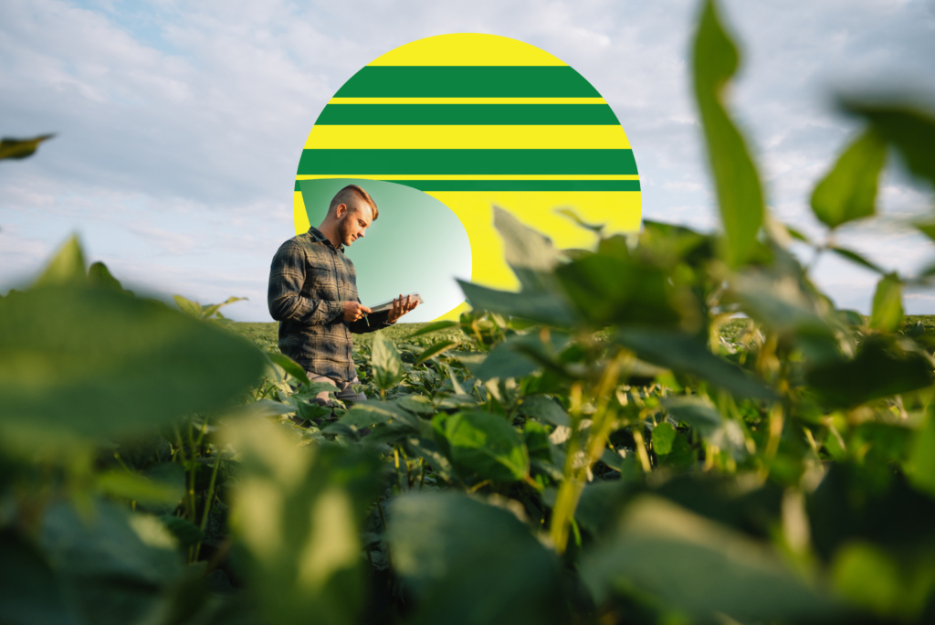 Digitalisation agriculture Maroc : Le cas GdirAgri