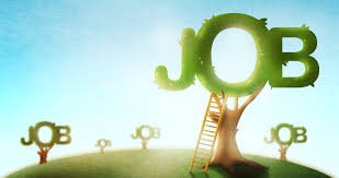 Les Nouveaux Métiers du Sol : Une Révolution Verte aux Carrières Insoupçonnées